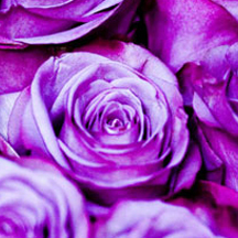 实打实服务的DDOS在线攻击平台