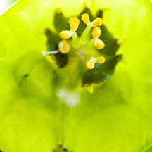 ddos服务器攻击手段